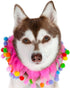 Midlee Pink Birthday Pom Pom Dog Collar, Medium Size