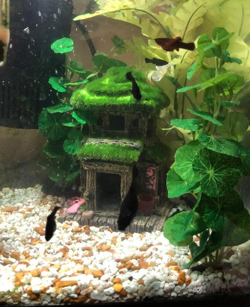 Fish House for Aquarium Decorations, Fish Hideout with Lifelike Moss and 2 pcs 4 inch Artificial Plants