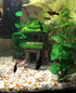 Fish House for Aquarium Decorations, Fish Hideout with Lifelike Moss and 2 pcs 4 inch Artificial Plants