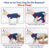 IDOMIK Dog Recovery Suit for Female Spay - Adjustable Anti-Licking Onesie, Soft Wound Bandage & E-Collar Alternative
