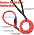 Strong Slip Rope Dog Training Leash 4ft, Heavy Duty Braided Nylon Lead with Padded Handle for Medium Large Dogs
