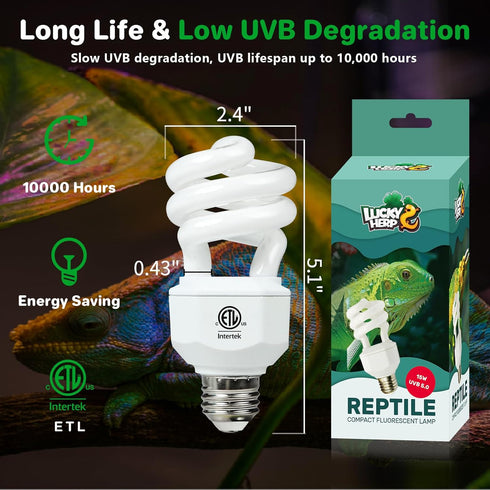 LUCKY HERP 5.0 UVA UVB Reptile Light - 15W Compact Fluorescent Lamp for Chameleons, Lizards, Tortoises, Snakes