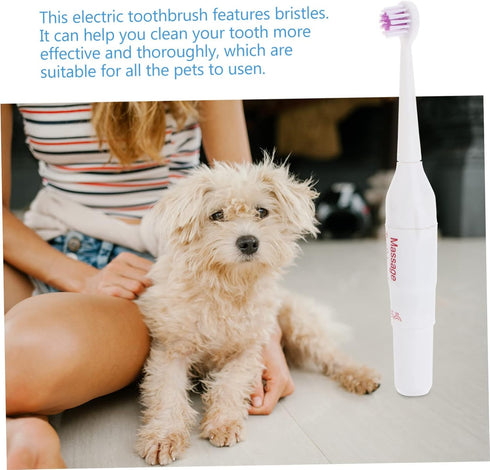 2pcs FOMIYES Pet Electric Toothbrush Acoustic Electric Brush Gentle Gums Travel Friendly Random Color