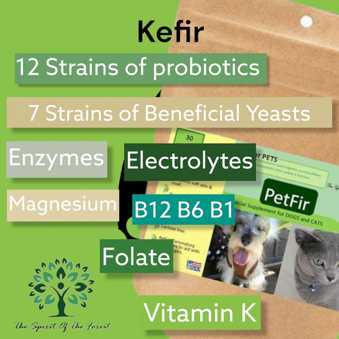 Petfir Pack Kefir for Dogs and Cats - Advanced Probiotic Supplement for Pets (50 gr)