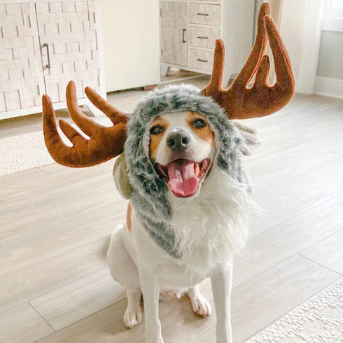 Onmygogo Funny Dog Halloween Costumes, Cute Furry Pet Wig for Halloween Christmas, Moose, Size M