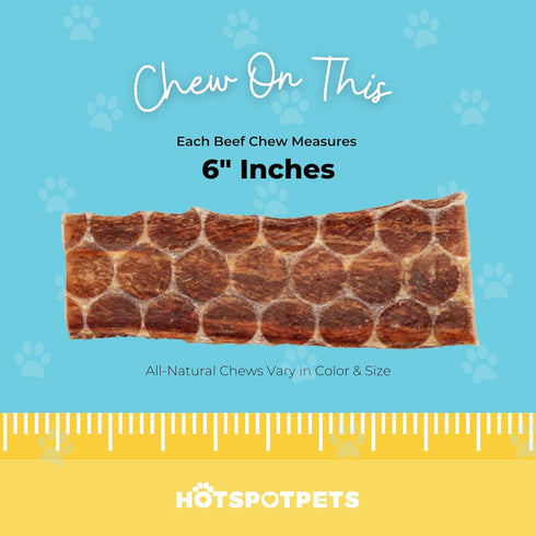 Beef Esophagus Dog Treats (6 INCHES) Grass Fed, No Added Hormone All Natural Jerky Chews, Rich in Glucosamine &