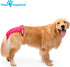 (2 Paw Inspired Washable Reusable Dog Diapers Female, Cloth Dog Diapers, Dogs in Heat, Dog Incontinence (Assorted