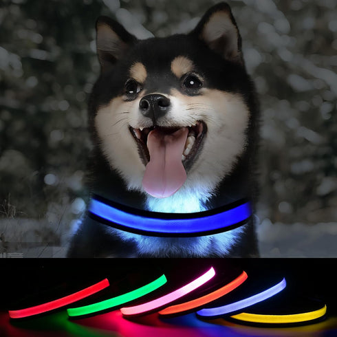 Led Glowing Dog Collars, Lighted Rechargeable Glow Collar for Night, Light Up Dog Collar for Small Dogs (Blue, Pack of