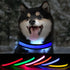 Led Glowing Dog Collars, Lighted Rechargeable Glow Collar for Night, Light Up Dog Collar for Small Dogs (Blue, Pack of
