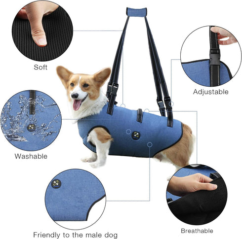 Coodeo Dog Lift Harness, Adjustable Padded Breathable Sling Lift for Old, Disabled, Joint Injuries, Arthritis, Loss of