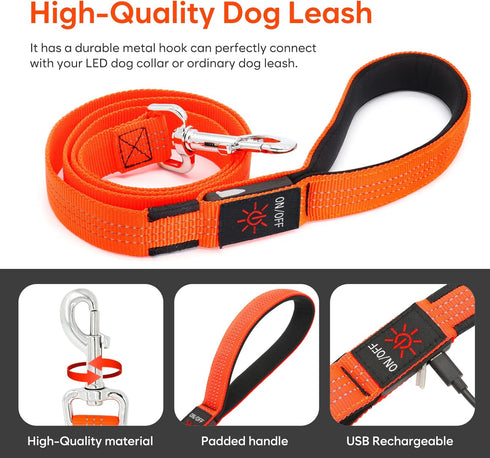 LED Light Up Dog Leash, USB Rechargeable, 3 Lighting Modes, Glow in The Dark for Pets