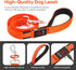 LED Light Up Dog Leash, USB Rechargeable, 3 Lighting Modes, Glow in The Dark for Pets