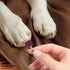 Zyghjort 22Pcs (1/2 Inch 120 Dog Nail Grinder, Sanding Bands and Drums Replacement Kit for Dogs and Cats, Safe Quiet