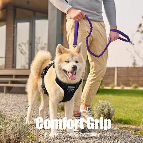 BUMBIN 6Ft Dog Leash for Large Dogs, Bungee Leash with 2 Handles, Heavy Duty for Medium Small Dogs, No Pull, Purple