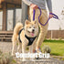 BUMBIN 6Ft Dog Leash for Large Dogs, Bungee Leash with 2 Handles, Heavy Duty for Medium Small Dogs, No Pull, Purple
