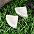 ibasenice Reptile Food Water Bowls Small Animal Food Ceramics Dish Worm Dish Ceramic Feeder Food Bowl for Leopard Gecko (Medium Triangle, 2PCS)