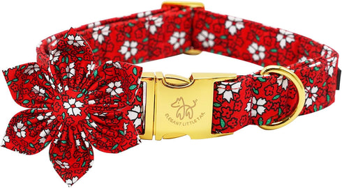 Elegant little tail Dog Collar with Flower, Christmas Flower Dog Collar for X-Small Dogs, Holiday Pet Collar