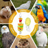 6 PCS Bird Treats Skewer, Parakeet Hanging Food Holder, Stainless Steel Fruit Vegetable Stick Holder, Cockatoo