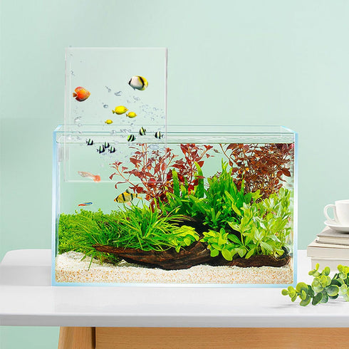 Negative Pressure Fish Tank, Inverted Aquarium with Auto-Refill, Transparent Vacuum Suspended Fish Tank Decoration