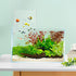 Negative Pressure Fish Tank, Inverted Aquarium with Auto-Refill, Transparent Vacuum Suspended Fish Tank Decoration