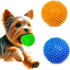 CoCoo 3-Pack Squeaky Dog & Ferret Ball Toys, 2.3", Spikey Rubber Balls for Multi-Pet Homes, Toss Fetch