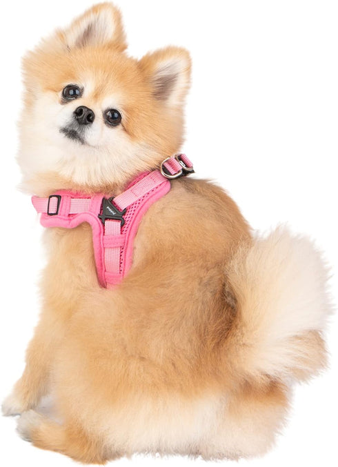 Puppia Soft Dog Harness - No Choke No Pull Adjustable Walking Training for Small and Medium Dog, Pink, S