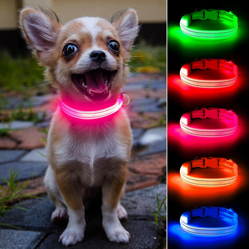 Light Up Collar for Small Dogs & Cats - Reflective LED Dog Collar for Nighttime Walking (Pink)