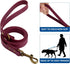 Wisedog Dog Collar and Leash Set Combo, Adjustable Pet Collars with Leashes for Small Medium Large Dogs