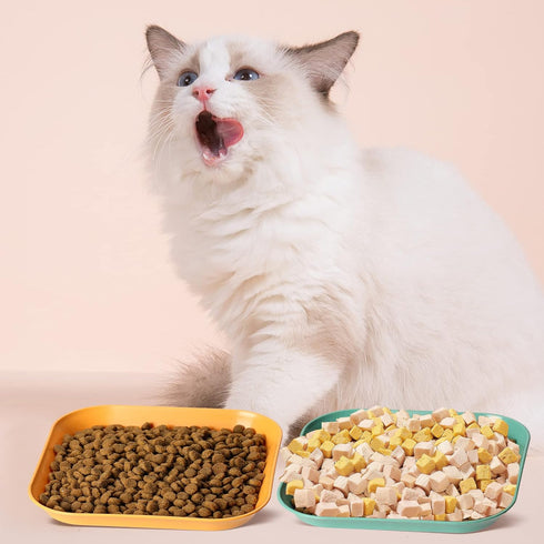 Cat Bowls, 6 inch Cat Food Bowl, 4Pcs Whisker Fatigue Free Dishes, Shallow Bowls for Indoor Cats
