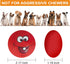N-S Dog Toy, Squeaky Chewing Durable Teething Latex Rubber Balls for Puppy Small Medium Pet Dog (5PCS)