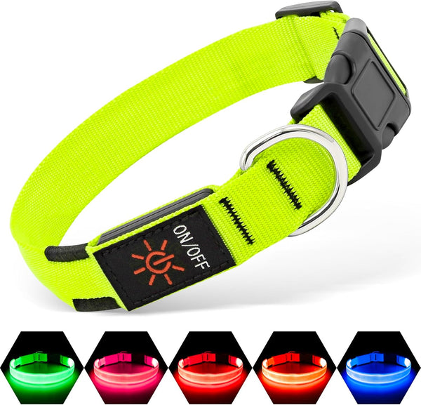 Illumifun LED Collar for Small Dogs, USB Rechargeable Light Up Dog Collar, Green, Small
