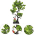 Decor Bonsai Tree Fake Model for Fish Tank - Fish Tank Supplies and Accessories, Plastic Aquarium Tree