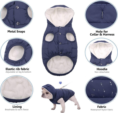 Fleece Hoodie, Windproof Waterproof Coat, Winter Warm Jacket for Small Medium Large Dogs (2XL: Blue)