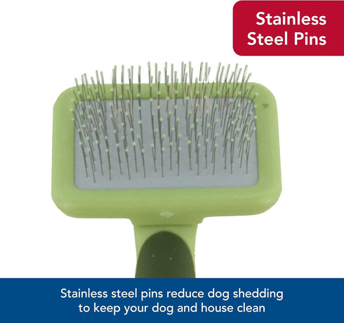 Coastal Pet Safari Dog Soft Slicker Brush, Dog Grooming Brush for Shedding, Small, 6.5" x 2.5" for Dogs with Short,