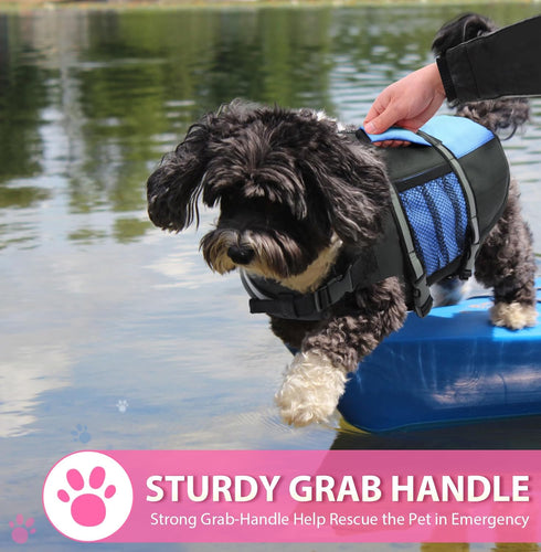 Queenmore Small Dog Life Jacket - Adjustable Pet Life Vest for Small and Medium Dogs, High Buoyancy, Rescue Handle