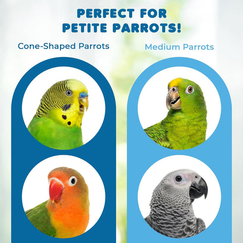 SunGrow Medium Chewing Parrot Toy, Colorful Chew Toy for Cockatoos, African Grey, Macaws, and Amazon Parrots