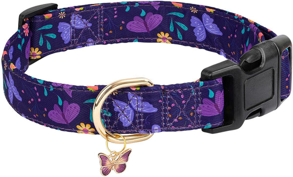 Adjustable Dog Collar with Buckle for Cute Girl and Boy Dogs, Soft and Fancy with Flower Design for Small, Medium, and