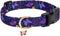Adjustable Dog Collar with Buckle for Cute Girl and Boy Dogs, Soft and Fancy with Flower Design for Small, Medium, and