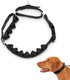 PetSafe Soft Point Training Collar - Helps Stop Pulling, Safer Than Prong or Choke Collars, Medium, Black