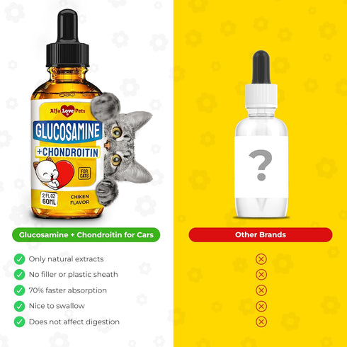 Glucosamine for Cats, Joint Supplement in Liquid Form, Chicken Flavor, 2 Oz