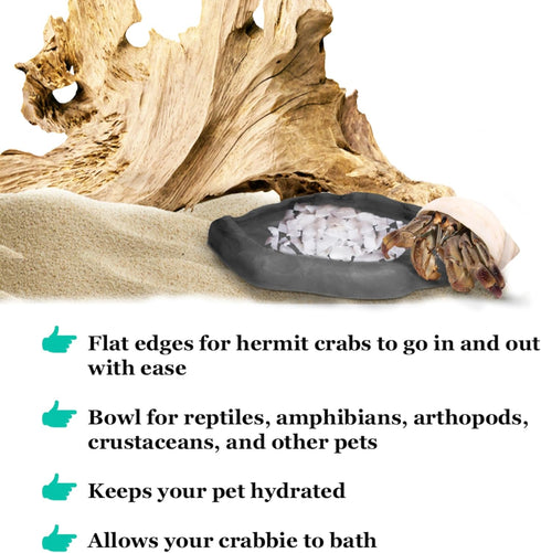SunGrow Charcoal Color Hermit Crab Water Bowl and Bathing Pool, 5 x 5.5 Inches, 1 Pc/Pack