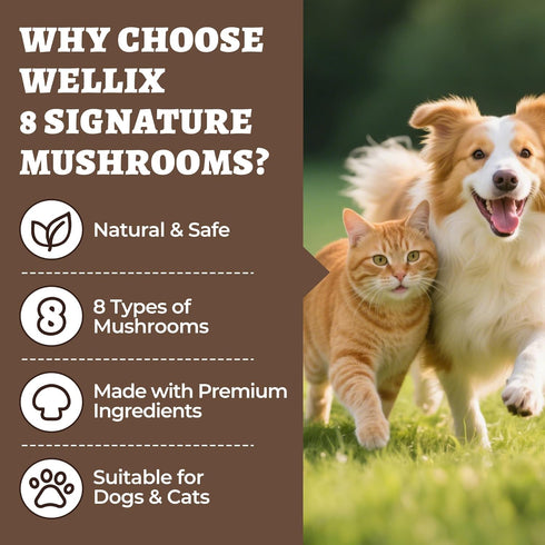 8 Immune, Wellix Mushroom Powder Supplements for Dogs & Cats - Lumps & Bumps Dog Supplement - Types of Mushrooms
