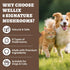 8 Immune, Wellix Mushroom Powder Supplements for Dogs & Cats - Lumps & Bumps Dog Supplement - Types of Mushrooms