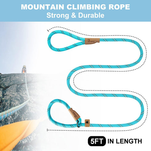 5 FT Heavy Duty Slip Lead Dog Leash for Small Medium Large Dogs, No Pull Training with Reflective Thread, Teal Stripe,