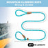 5 FT Heavy Duty Slip Lead Dog Leash for Small Medium Large Dogs, No Pull Training with Reflective Thread, Teal Stripe,