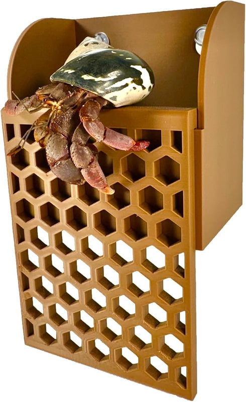 Lucky Critter Hermit Crab Climbing Wall Foraging Basket | Tank Enrichment Decor