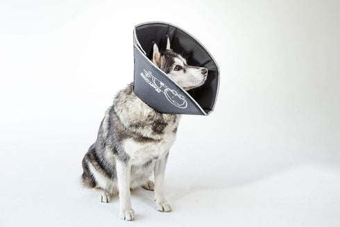 Comfy Cone Pet Cone for Dogs and Cats - Large, Black, Soft Recovery Collar for After Surgery