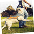 POPETPOP Dog Cooling Vest, Reflective Dog Cooling Coat with Adjustable Side Straps, Pet Cooler Jacket for Small, Medium