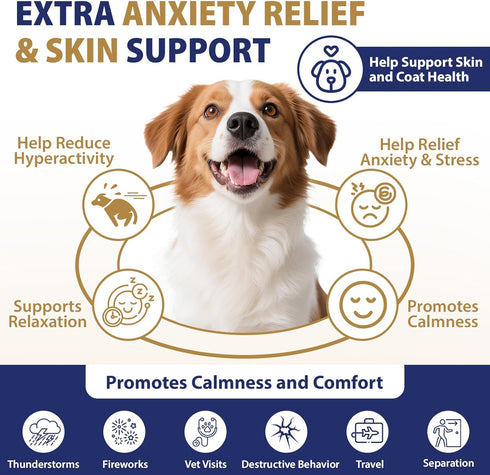 200 Omega3, Inflammatory Hip and Joint Supplement for Dogs Dog Calming Chews with Glucosamine, Chondroitin, Msm