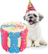 Dog Birthday Cake - Rice Cake Based Dessert with Human Grade Ingredients - Happy Birthday Dog Cake